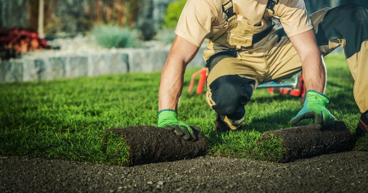 Landscaping Solutions Landscaping Solutions