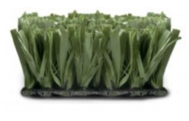protuf-green protuf-green